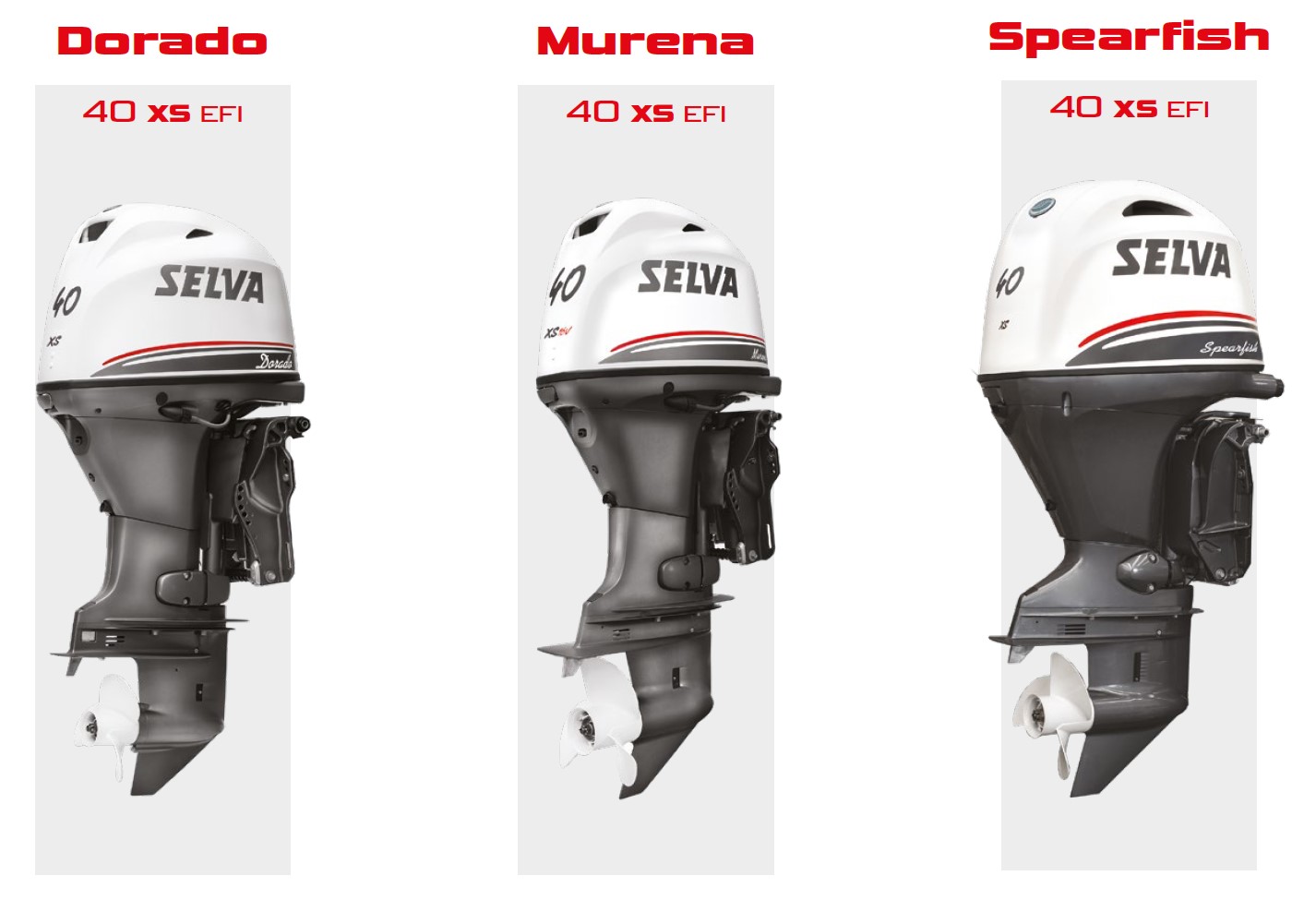 Χαρακτηριστικά